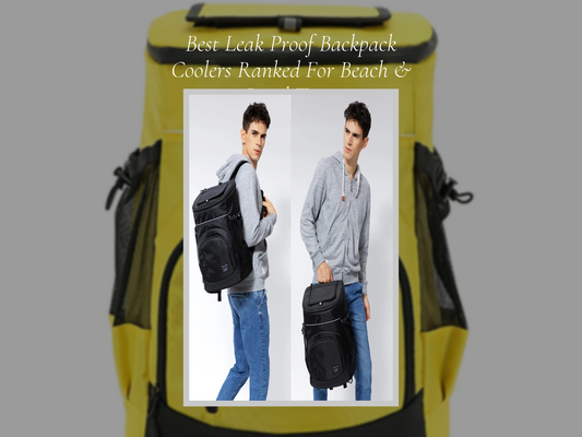 Best Leak Proof Backpack Coolers Ranked For Beach & Road Trips
