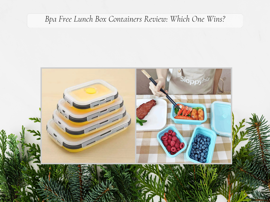 Bpa Free Lunch Box Containers Review: Which One Wins?