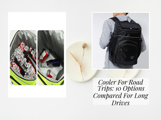 Cooler For Road Trips: 10 Options Compared For Long Drives