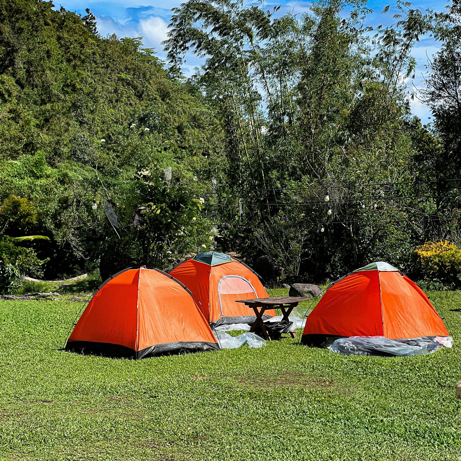 Camping & Picnic