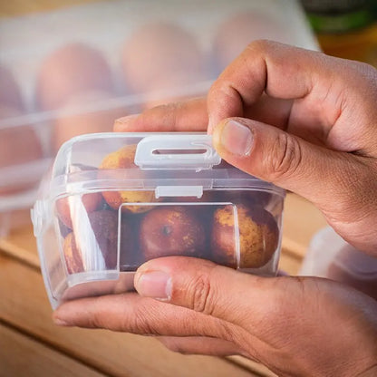 Portable Egg Storage Box Shockproof Camping Case