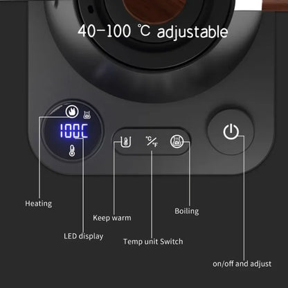 Electric Gooseneck Kettle 900ML Fast & Precise Brew