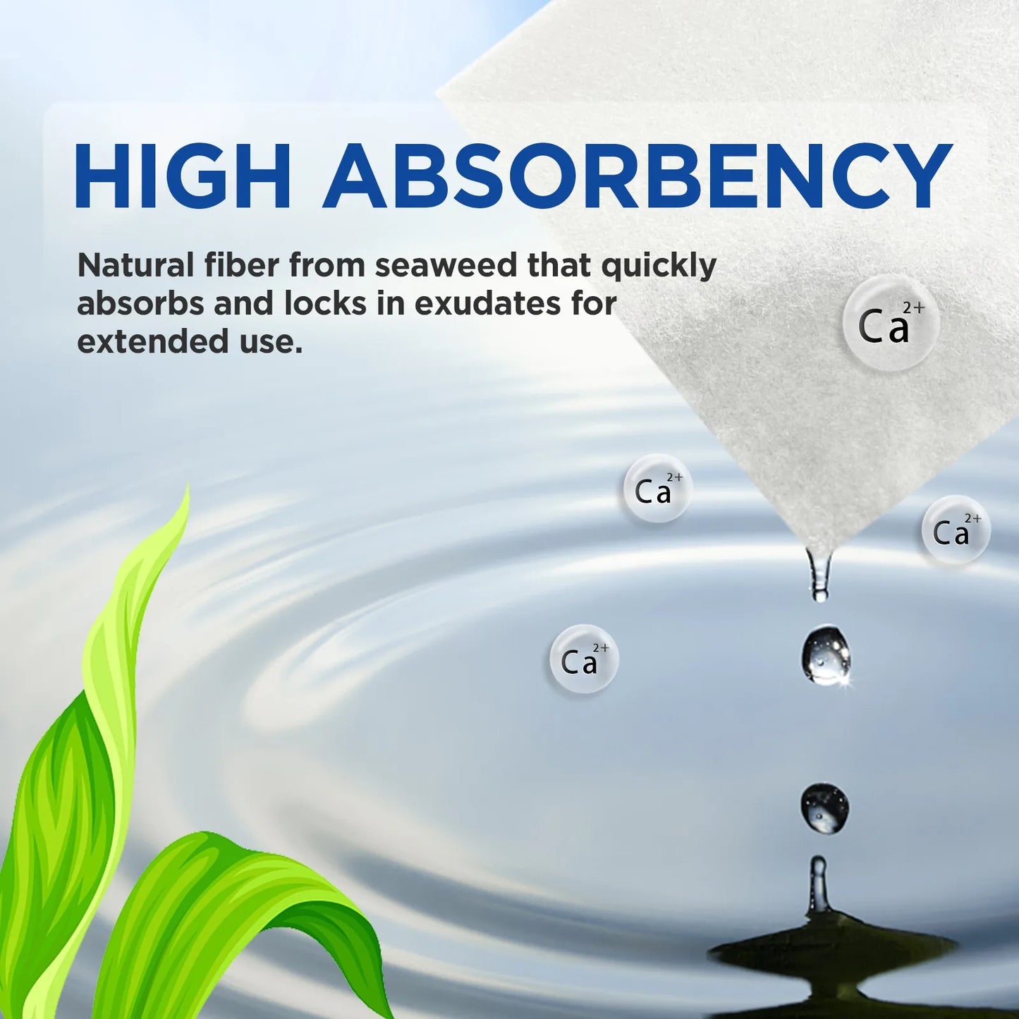 Calcium Alginate Wound Pads – High Absorbency Healing