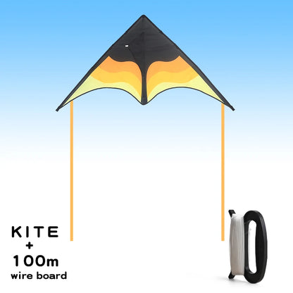 Large Beach Delta Kite with 100m Line – Easy to Fly